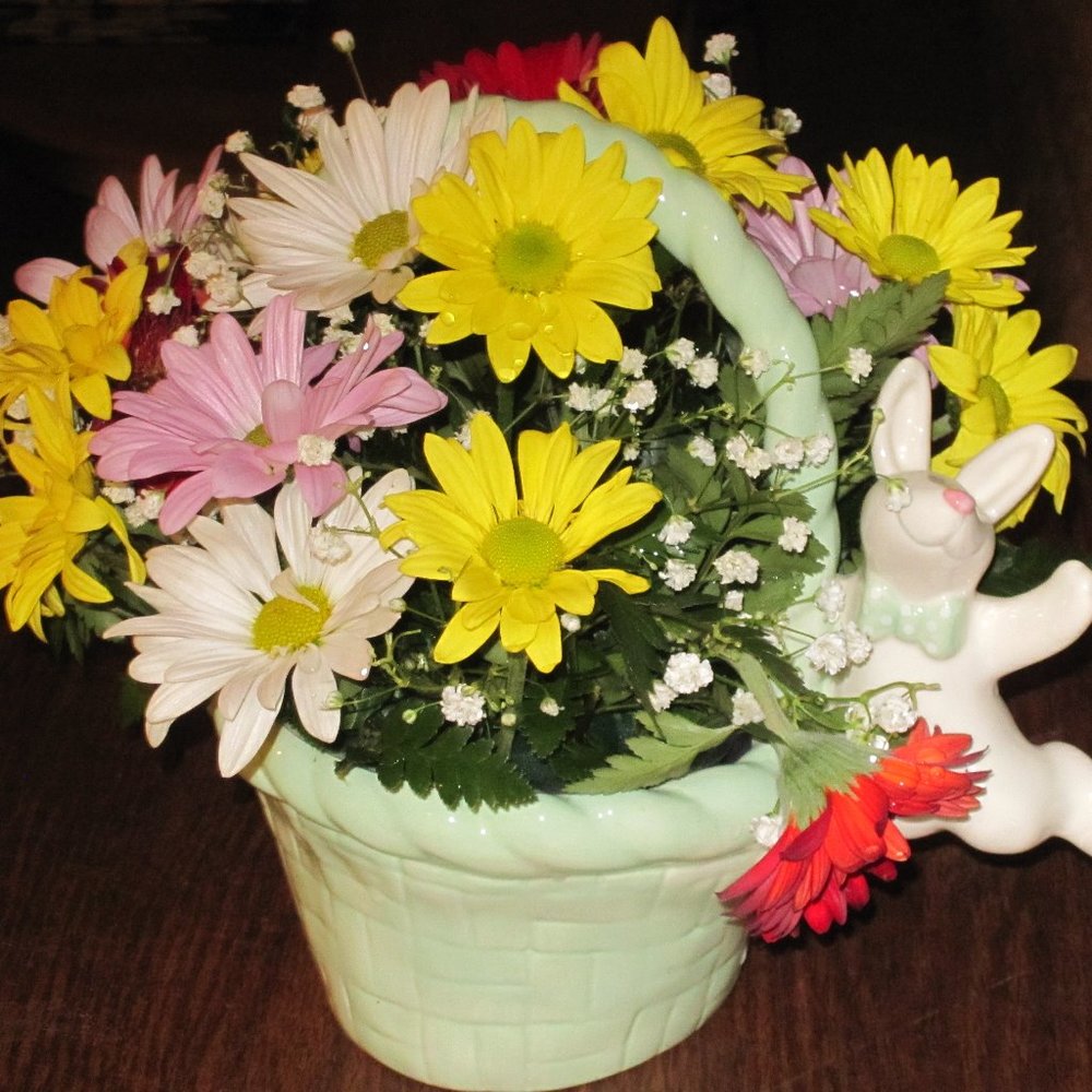 Meet your Posher, Terri